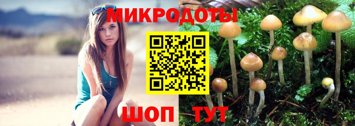 Ишимбай  Псилоцибиновые грибы GOLDEN TEACHER  Вход с VPN 